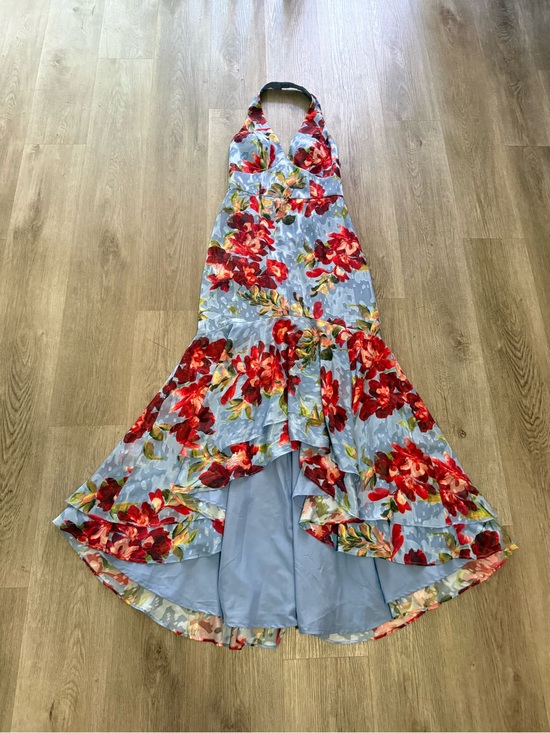 Hutch Dresses & Skirts - hutch nell blue & red floral halter neck high low ruffled maxi dress size small
